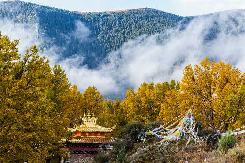 成都人的葡萄牙冒险，七日游费用全攻略，从火锅到蛋挞的精彩之旅-第3张图片-四川省中国青年旅行社